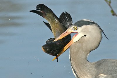 sized_IMG_0852.jpg