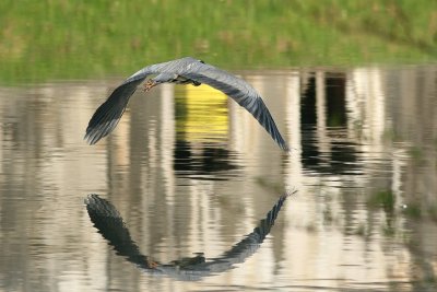 sized_IMG_0865.jpg