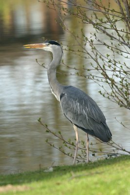 sized_IMG_0860.jpg