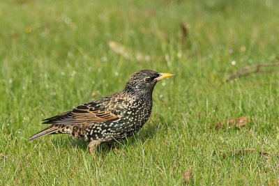 sized_IMG_0850.jpg