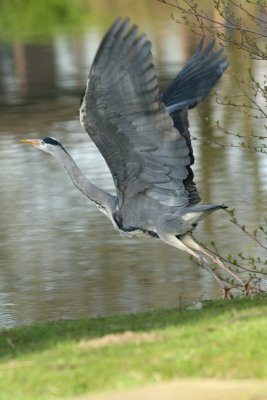 sized_IMG_0861.jpg
