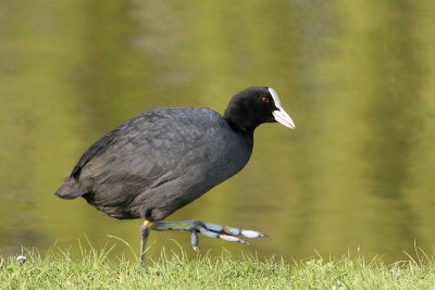 sized_IMG_1200.jpg