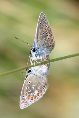 sized_IMG_3575.jpg