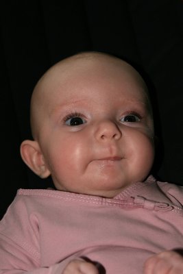 sizedIMG_5003.JPG