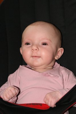 sizedIMG_5017.JPG
