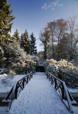 Séta a téli arborétumban - Stroll in the wintery botanical garden