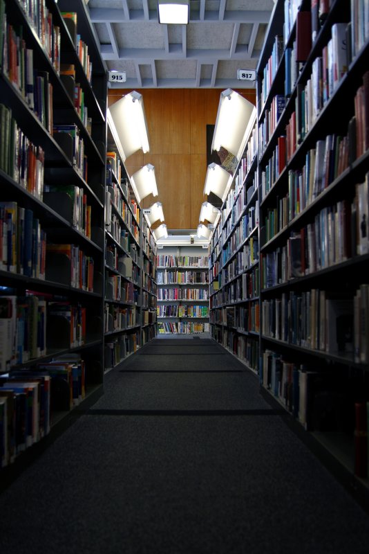 A child's eye view of the library
