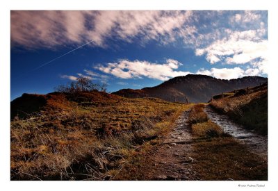 Der Weg hinauf / The Way Up