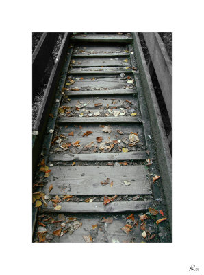 Herbst / Autumn