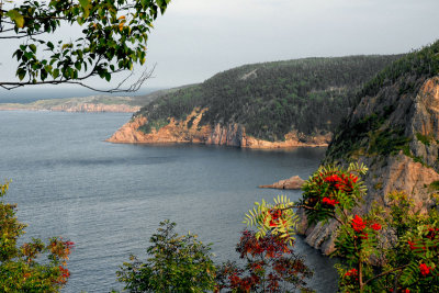 Cape Breton Shores 4.jpg