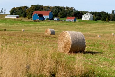 PEI Farm 3pano.jpg