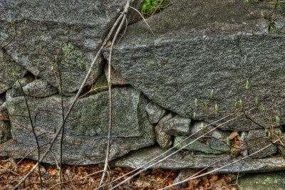 DSC_8092_tonemappedSM.jpg