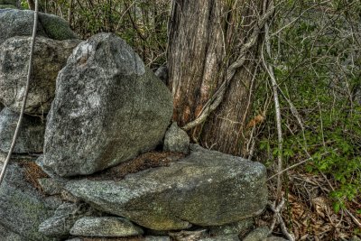 DSC_8104_tonemappedSM.jpg