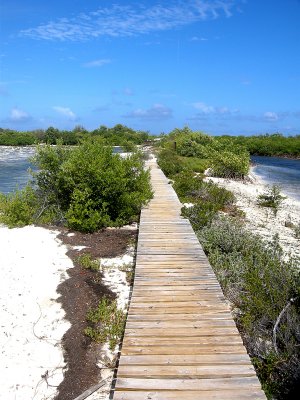 Boardwalk along the Lagoon