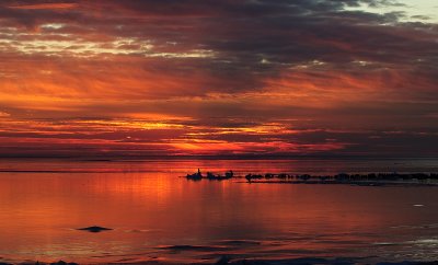 Landscapes and Sunsets