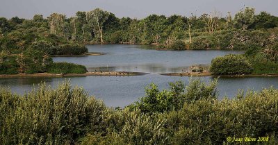 Oostvoorne - Breede Water