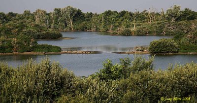 Oostvoorne -  Breede Water