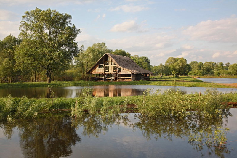 Ponds in Milicz ribniki_MG_8936-111.jpg