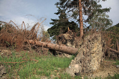 After storm po neurju_MG_15711-1.jpg