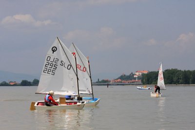 Optimist race on the lake tekma na jezeru_MG_0251-11.jpg