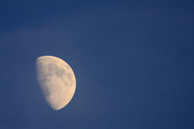 Rising moon vzhajajoa luna_MG_8990-11.jpg
