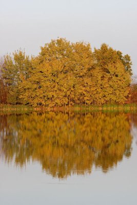 Autumn reflections jesenski odsevi_MG_7515-11.jpg