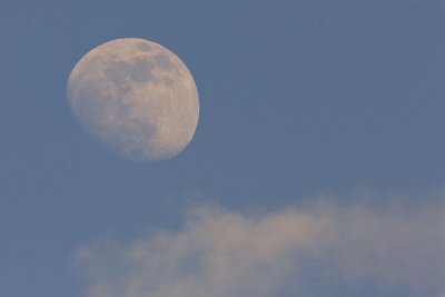 Rising moon vzhajajoča luna_MG_1634-11.jpg