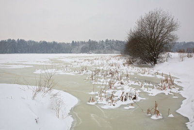 Rače pond in winter Rački ribniki pozimi_MG_6495-11.jpg