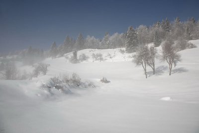 Winter haze zimska meglica_MG_6275-11.jpg