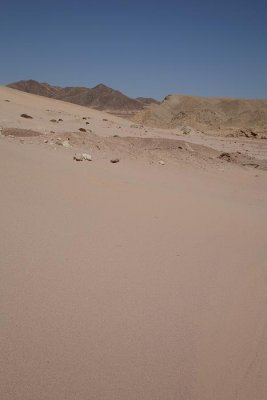 Desert in Ras Mohammed puava_MG_5174-1.jpg