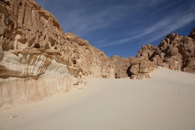 Desert puava_MG_5588-1.jpg