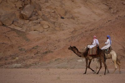 Bedouins on  camels beduina na kameli_MG_5789-1.jpg