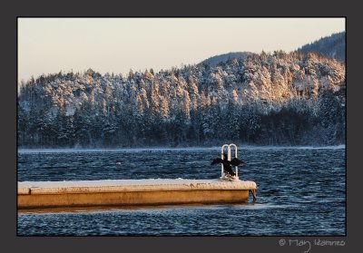 1. januar 2010