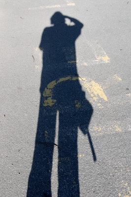 ten feet tall