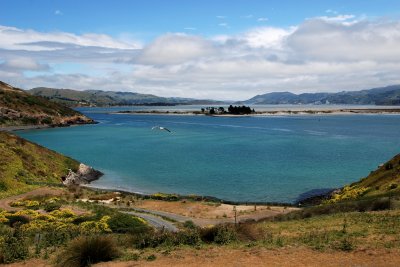 Taiaroa