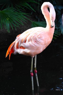 DPP_0023.jpg