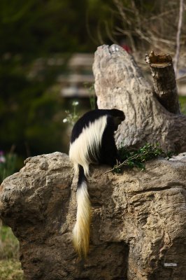 DPP_0038.jpg