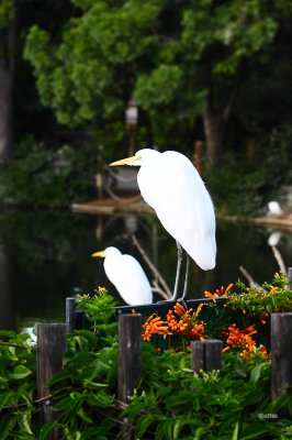 DPP_0066.jpg