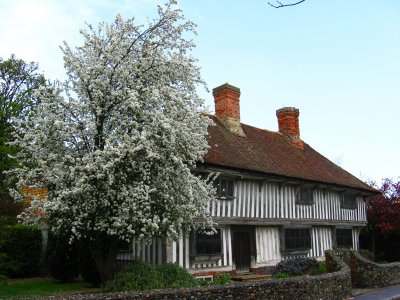 tudor house