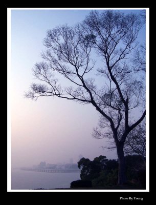 Gu Lang Yu