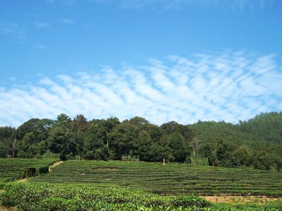 100_2840.JPG