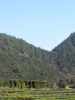 100_2843.JPG