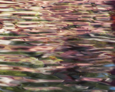 REFLECTION2.jpg
