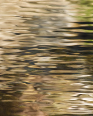 REFLECTION3.jpg