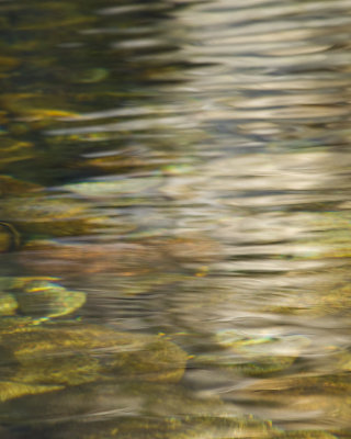 REFLECTION4.jpg