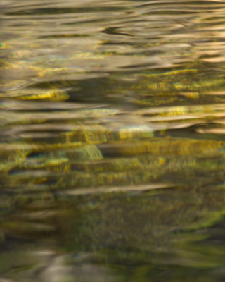 REFLECTION5.jpg