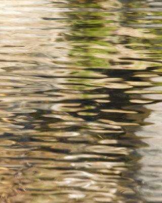 REFLECTION6.jpg