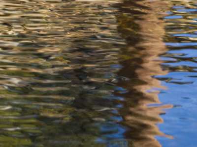 REFLECTION7.jpg