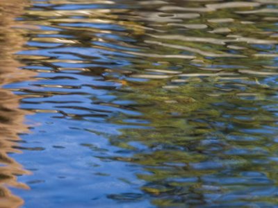 REFLECTION8.jpg