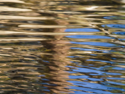 REFLECTION9.jpg